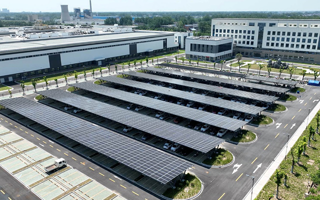 久久久久亚洲av无码专区蜜芽