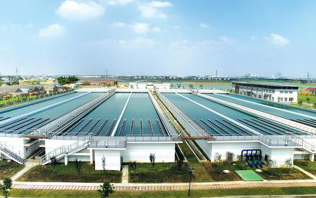 久久久久亚洲av无码专区蜜芽