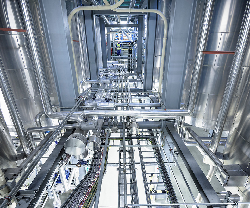 久久久久亚洲av无码专区蜜芽