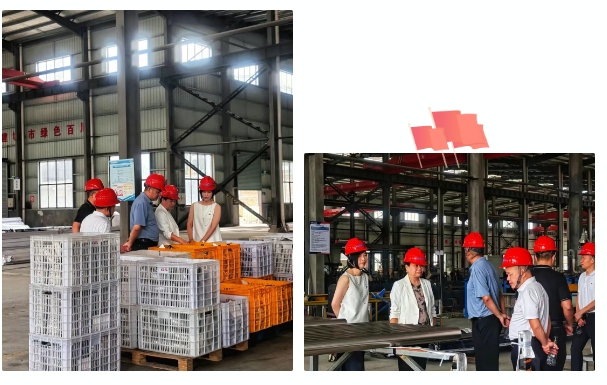 久久久久亚洲av无码专区蜜芽