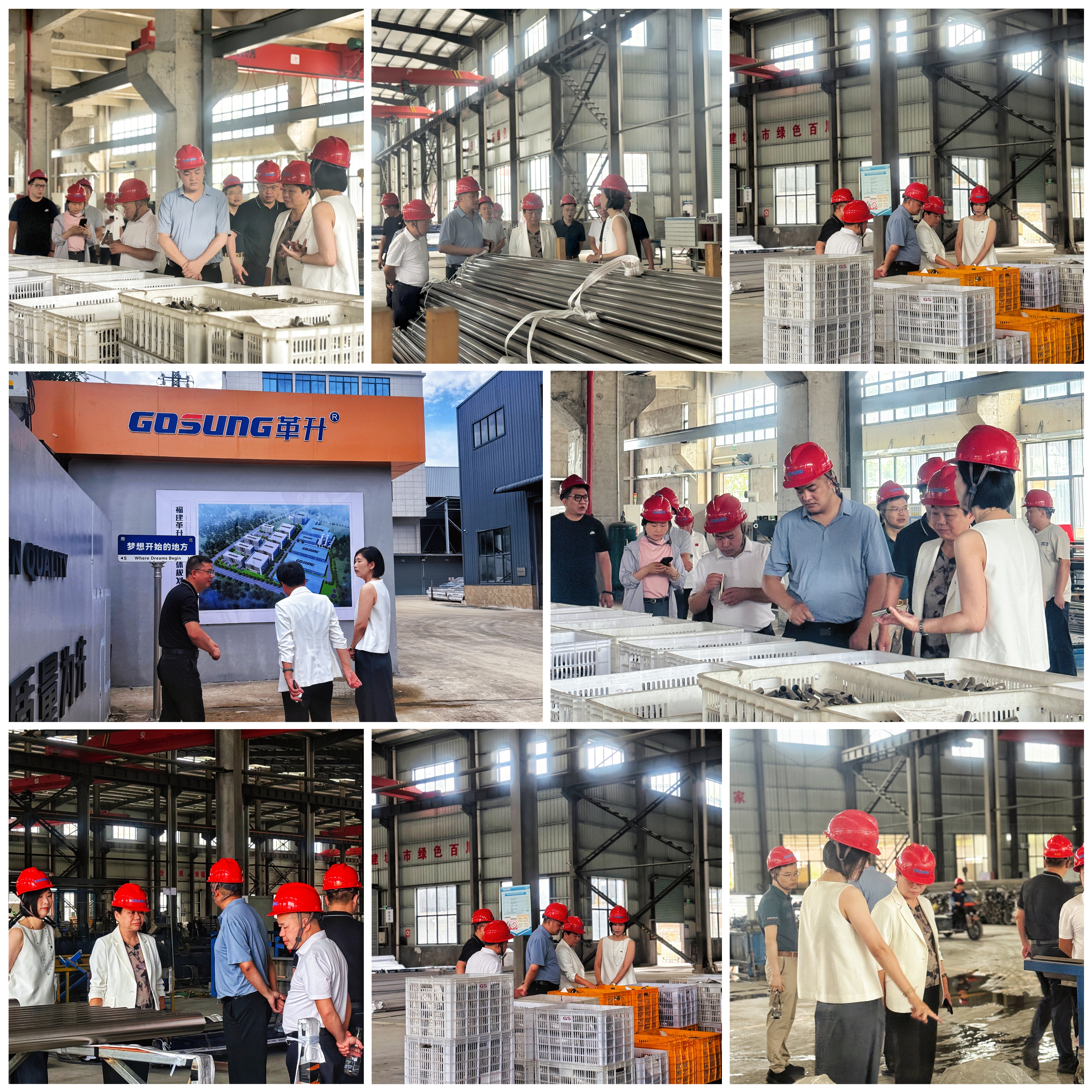 久久久久亚洲av无码专区蜜芽