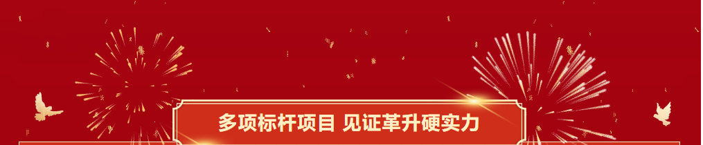 久久久久亚洲av无码专区蜜芽