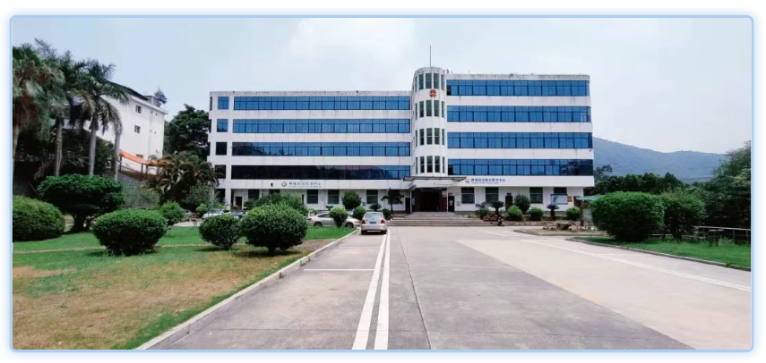 久久久久亚洲av无码专区蜜芽