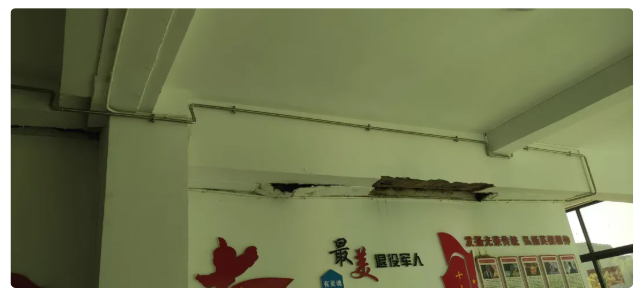 久久久久亚洲av无码专区蜜芽