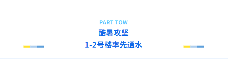 久久久久亚洲av无码专区蜜芽