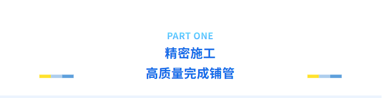 久久久久亚洲av无码专区蜜芽