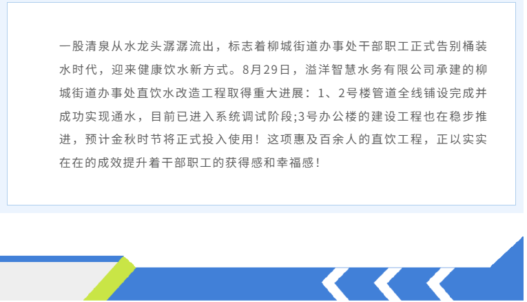 久久久久亚洲av无码专区蜜芽