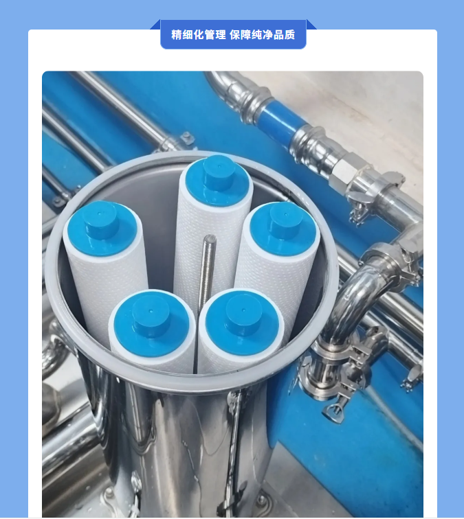 久久久久亚洲av无码专区蜜芽