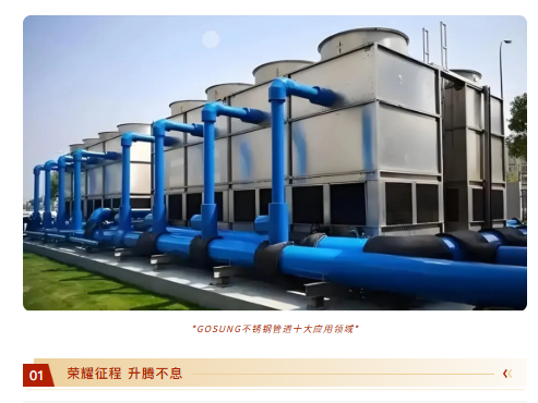 久久久久亚洲av无码专区蜜芽